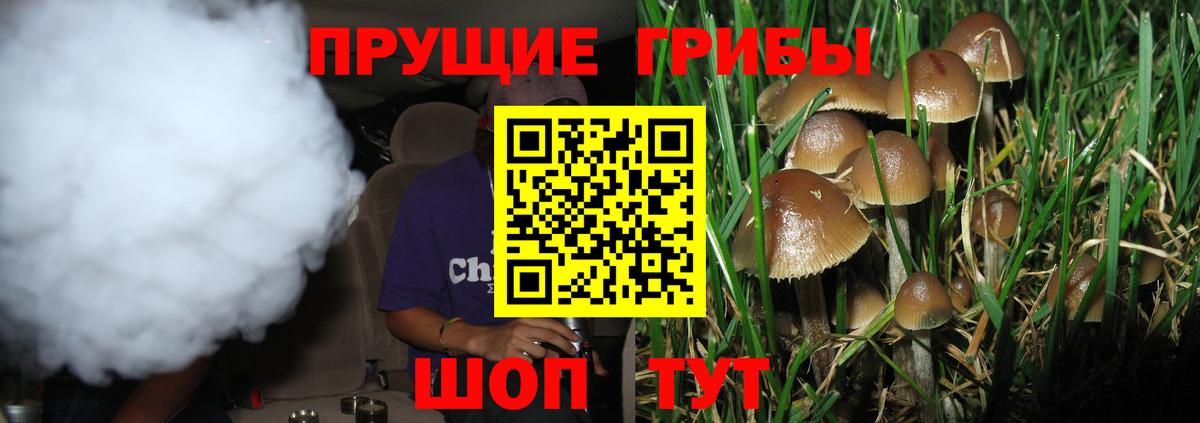 Псилоцибиновые грибы ЛСД  Вход с VPN  Краснокаменск 